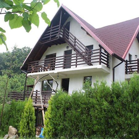 Havva Hotell Călimăneşti Exteriör bild