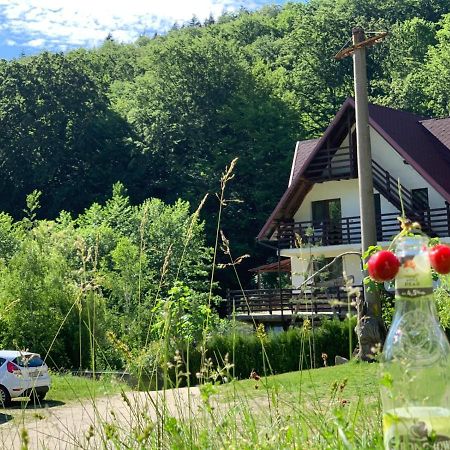 Havva Hotell Călimăneşti Exteriör bild