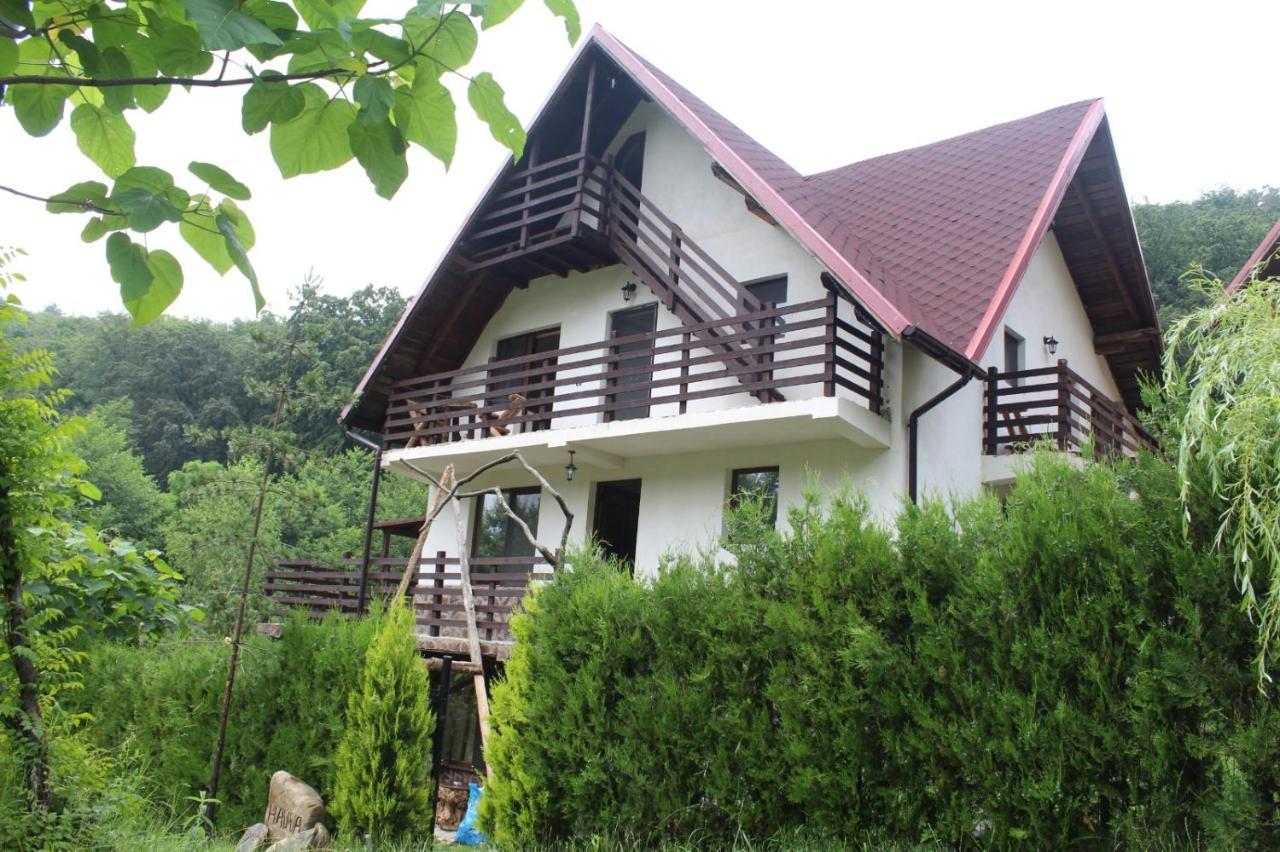 Havva Hotell Călimăneşti Exteriör bild