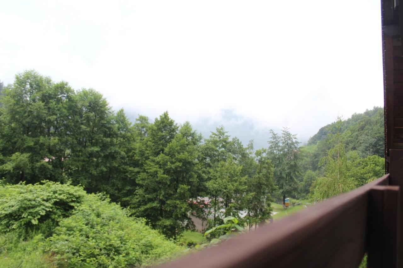 Havva Hotell Călimăneşti Exteriör bild