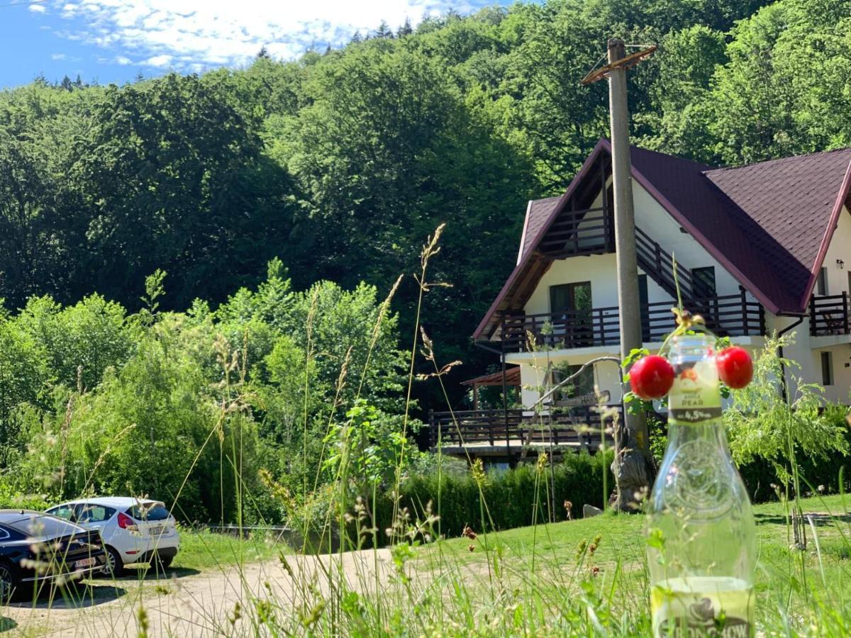Havva Hotell Călimăneşti Exteriör bild