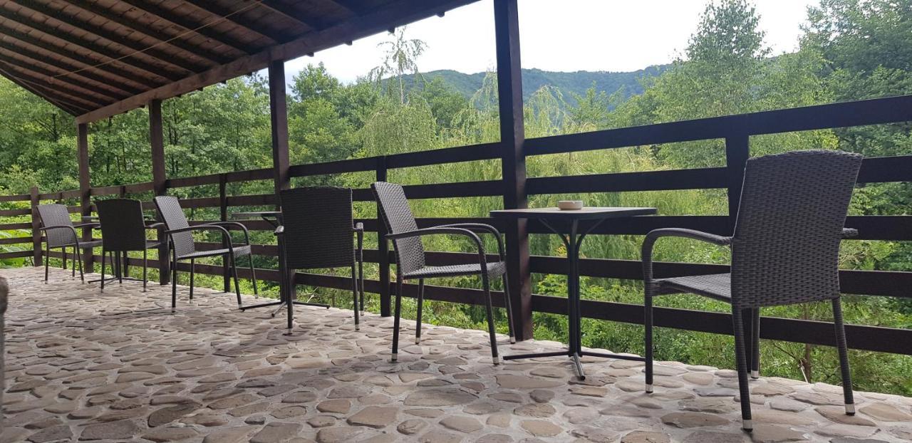 Havva Hotell Călimăneşti Exteriör bild