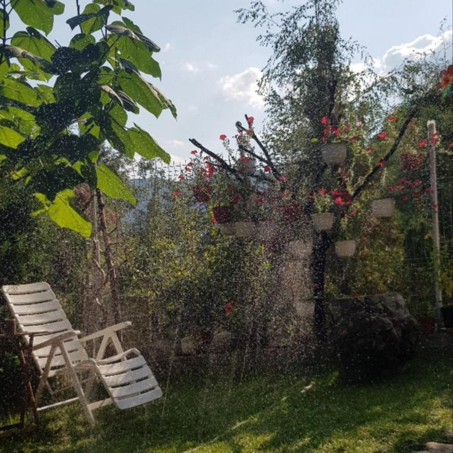 Havva Hotell Călimăneşti Exteriör bild