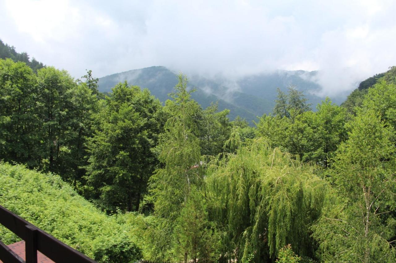 Havva Hotell Călimăneşti Exteriör bild