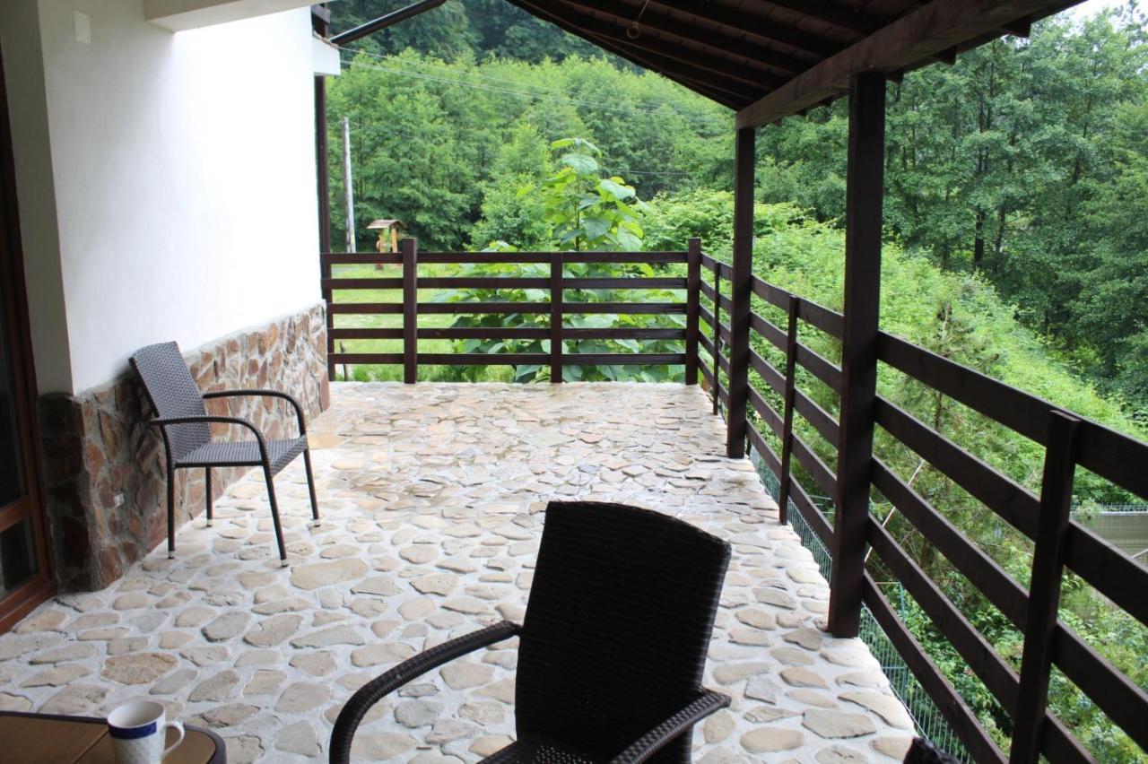 Havva Hotell Călimăneşti Exteriör bild