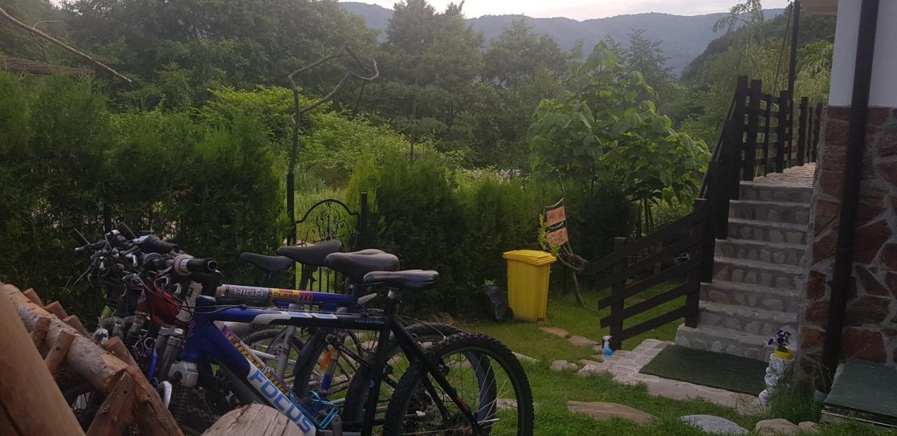 Havva Hotell Călimăneşti Exteriör bild