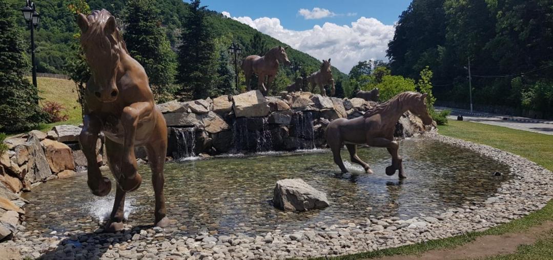 Havva Hotell Călimăneşti Exteriör bild