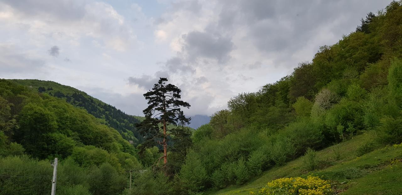 Havva Hotell Călimăneşti Exteriör bild
